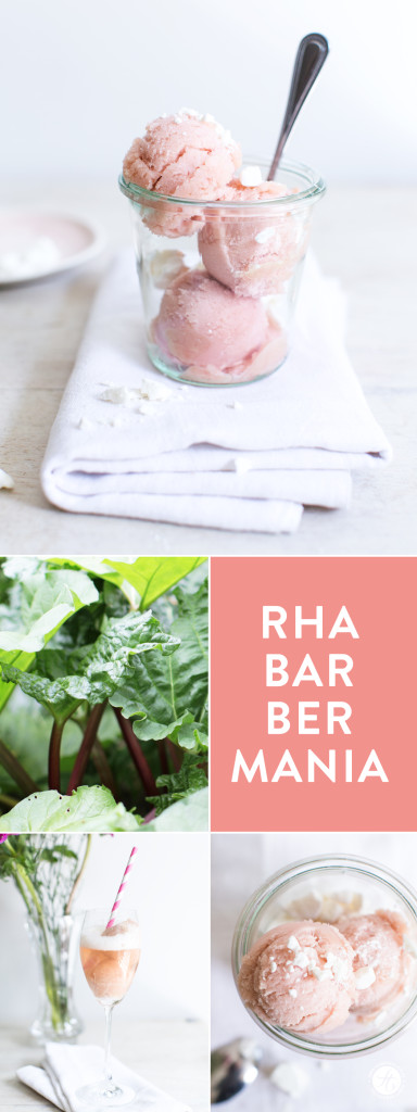 Rhabarber-Sorbet mit Baisers oder als Float mit Prosecco, soo lecker süß-sauer! Einfaches Rezept von feiertäglich.de #rhabarbermania