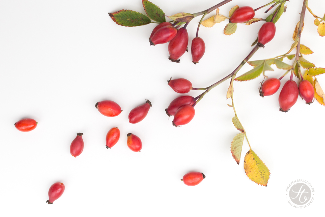 Kleine Kränze aus Hagebutten – hübsche Herbstdeko einfach selbst gemacht, DIY, Herbst, Deko