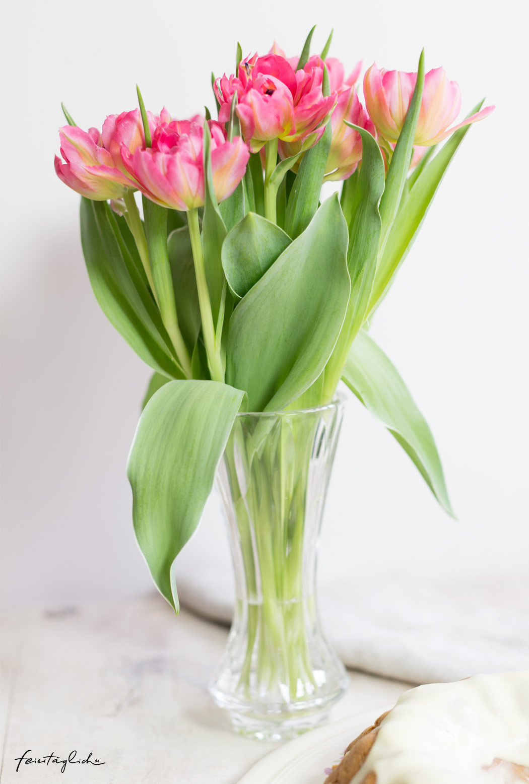 gefüllte pinke Tulpen