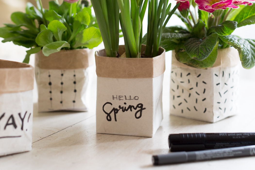 DIY Milchtüten Upcycling Planzentöpfe Frühlingsgrüße